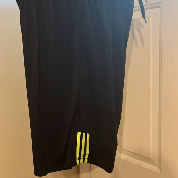 Black and yellow ish striped - Picture 3 of 10